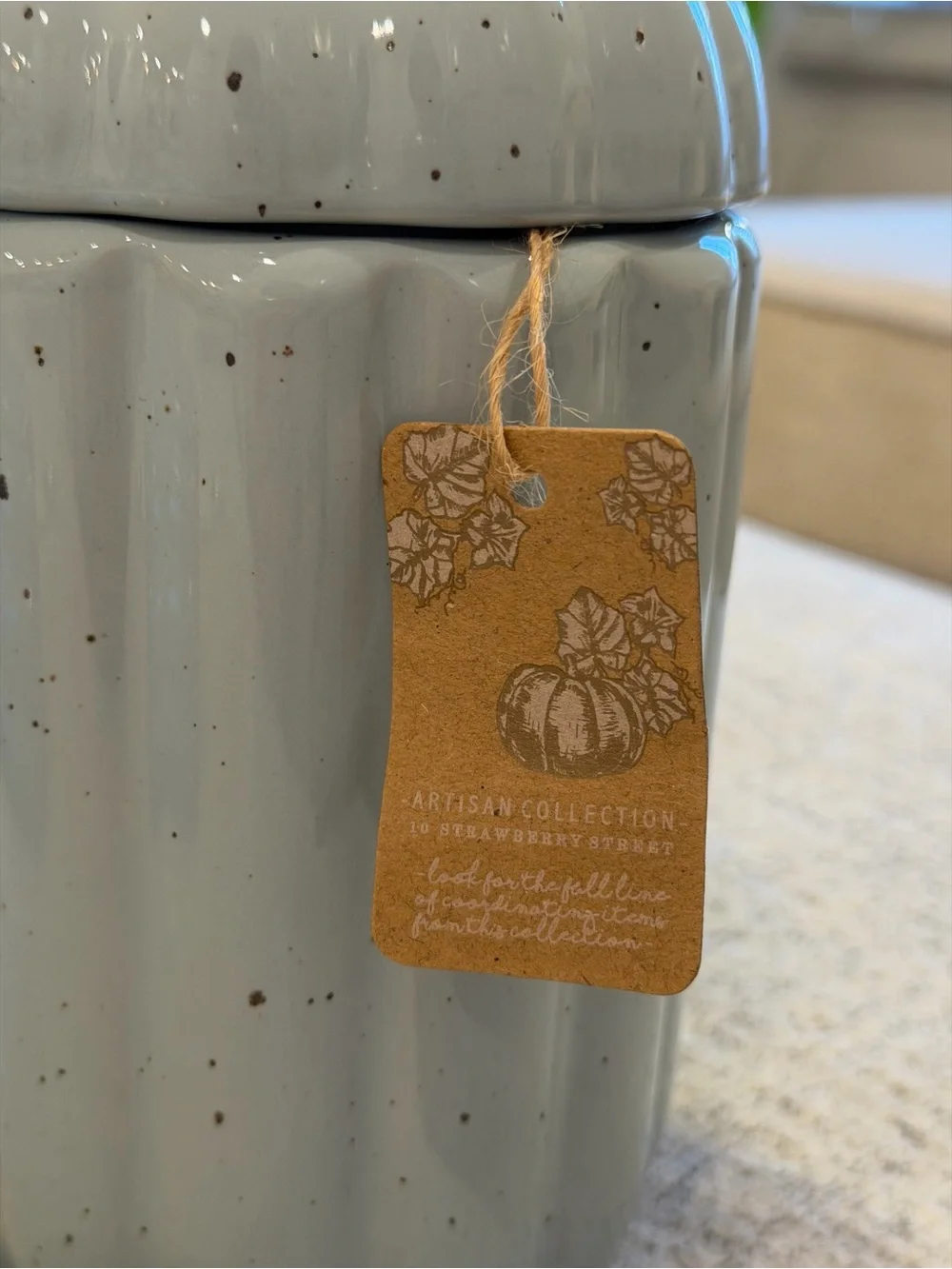10 Strawberry Street Rare Blue Pumpkin Canisters Set of 2